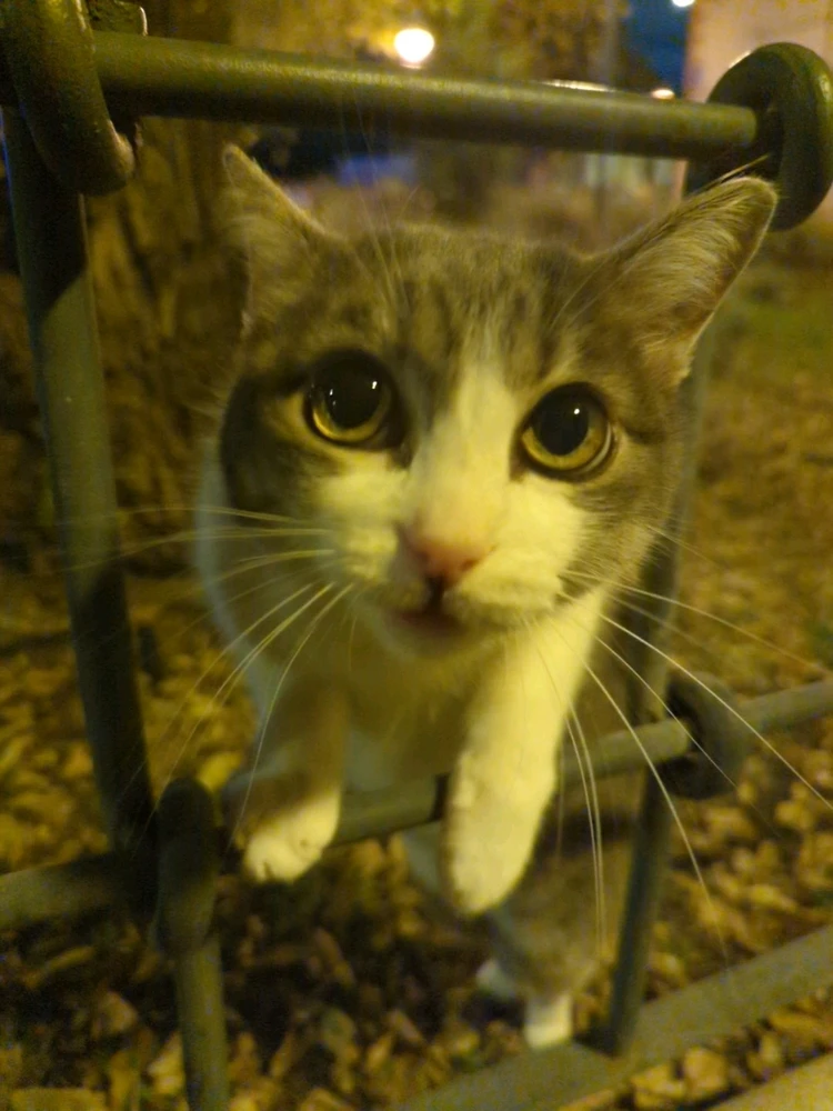 Image uploaded by Jakub