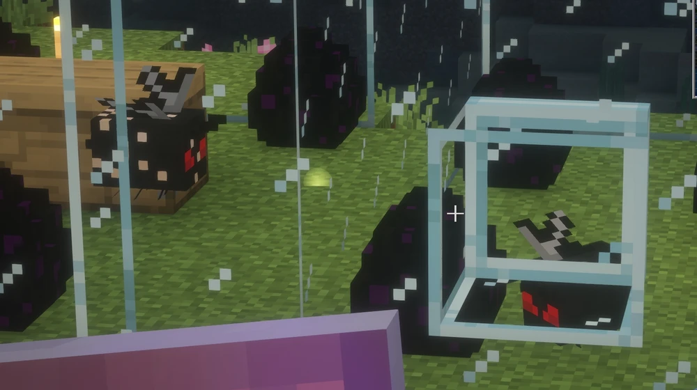 GIF uploaded by Kyle Pippenger