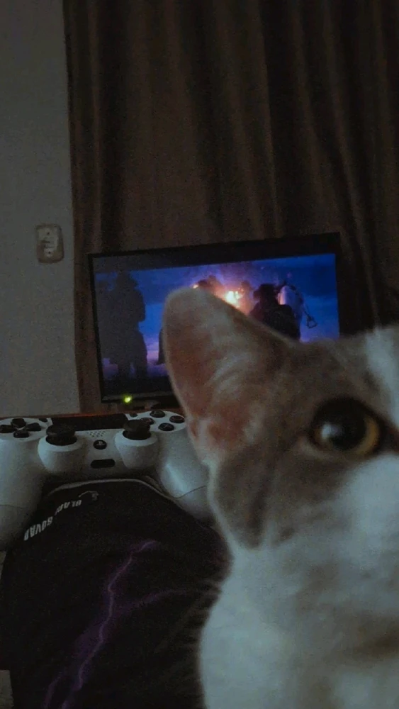 GIF enviado por Rhuan Pablo