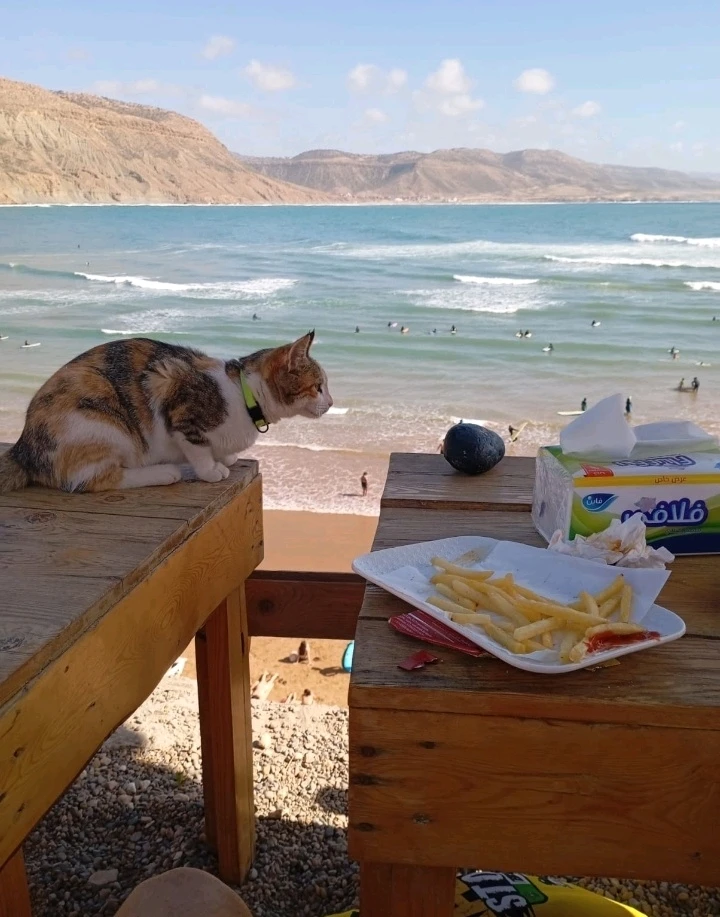 Image ajoutée par Lam