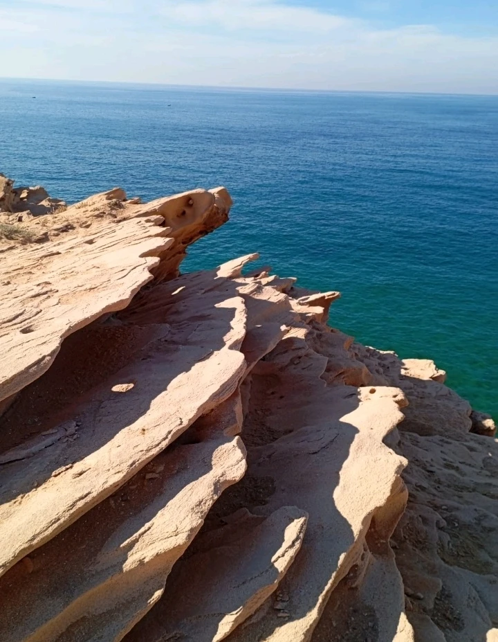 Image ajoutée par Lam