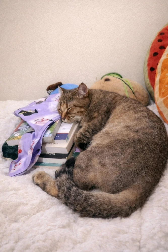 GIF uploaded by 𝓢𝓮𝓻𝓮𝓷 • 𝓢𝓮𝓻𝓮𝓷𝓭𝓲𝓹𝓲𝓽𝔂