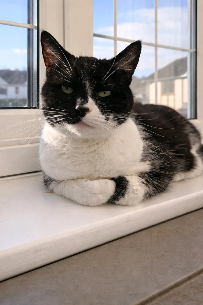 GIF uploaded by 𝓢𝓮𝓻𝓮𝓷 • 𝓢𝓮𝓻𝓮𝓷𝓭𝓲𝓹𝓲𝓽𝔂