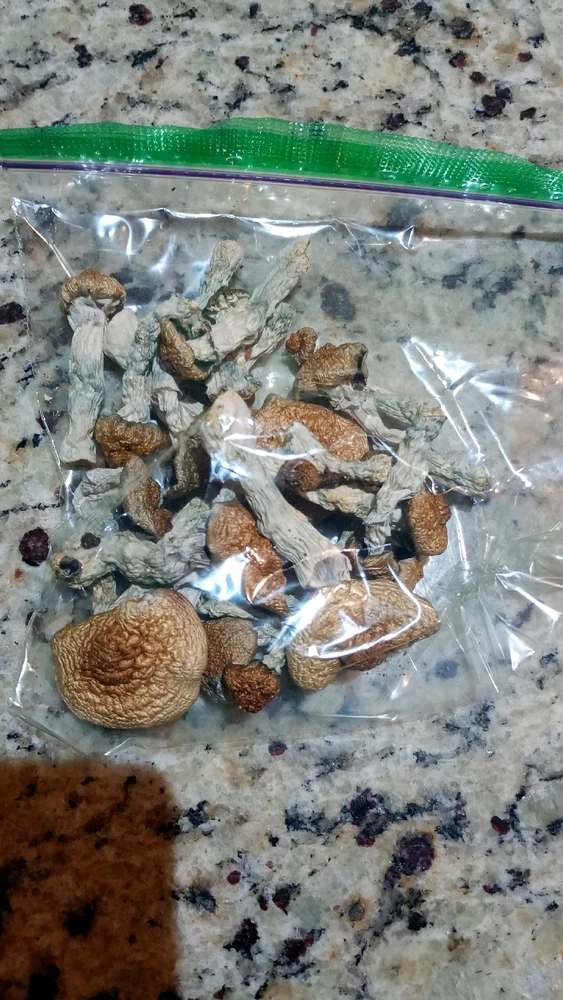 GIF subido por Romeo González