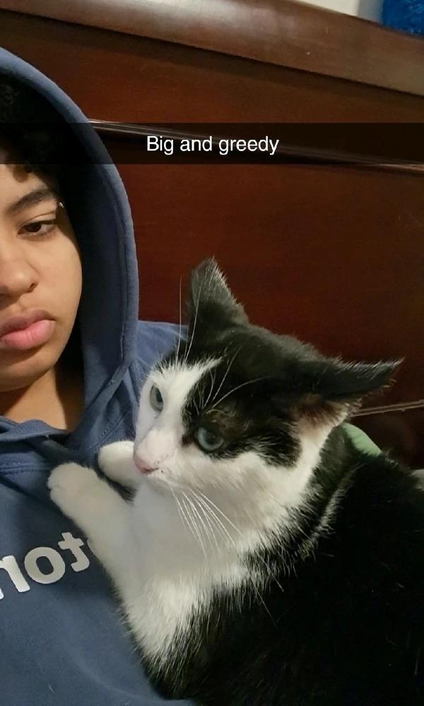 Image uploaded by Lou