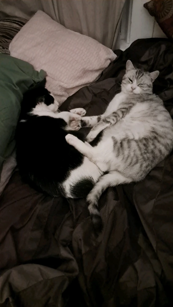 Image uploaded by Lou