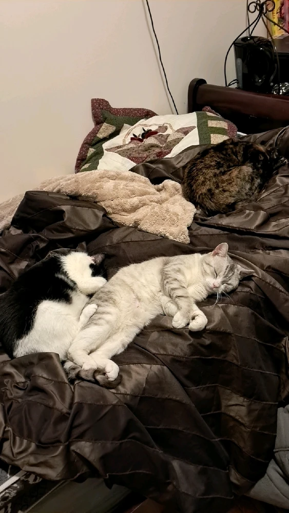 Image uploaded by Lou