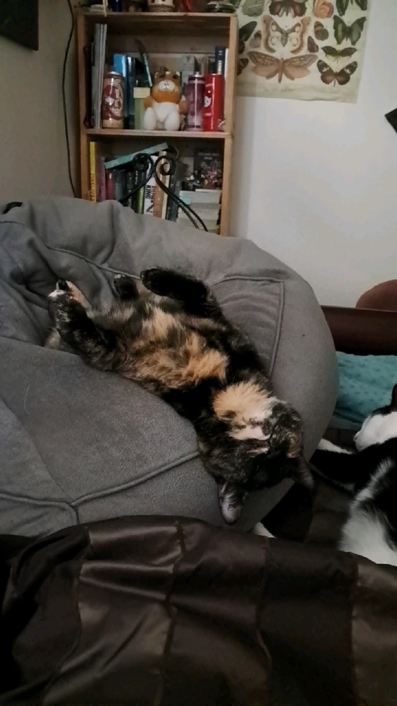 Image uploaded by Lou