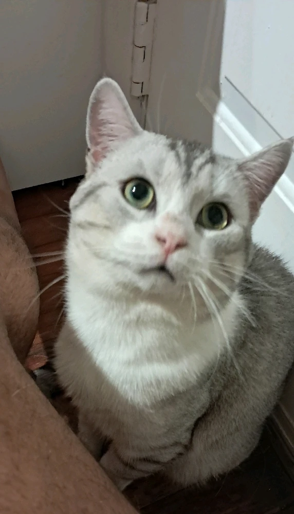 Image uploaded by Lou