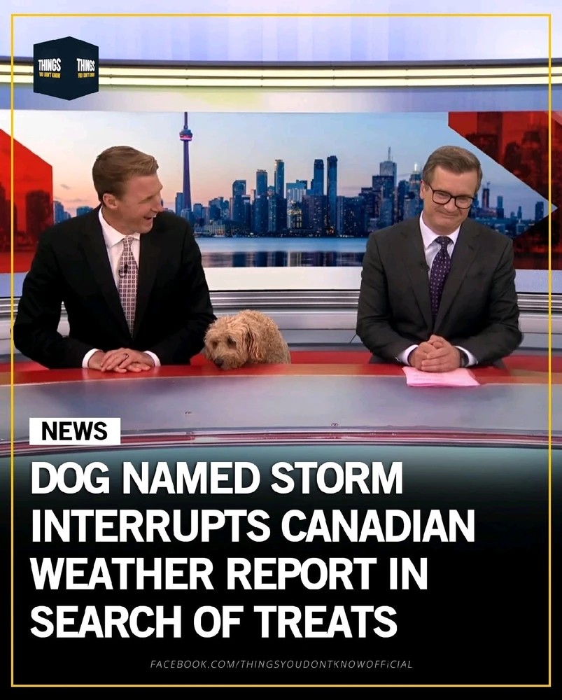 GIF uploaded by Angel