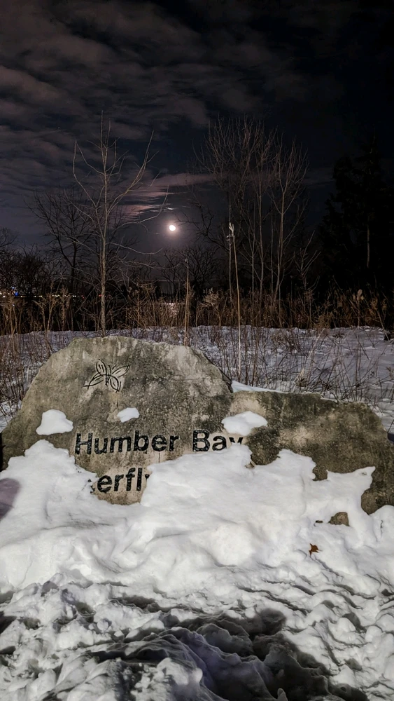 Image uploaded by Dana