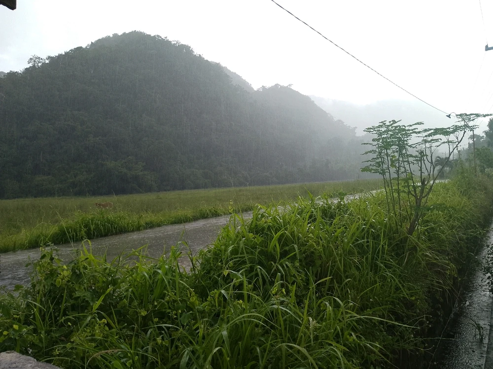 Image uploaded by Cess