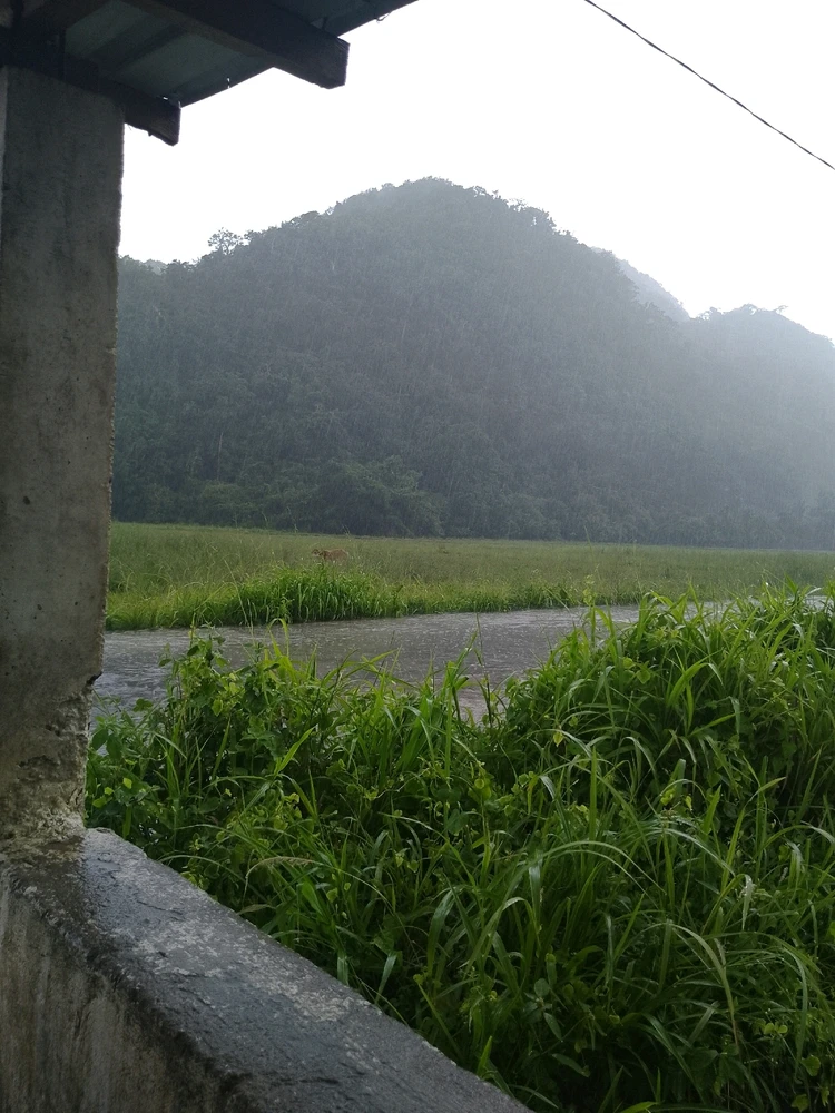 Image uploaded by Cess