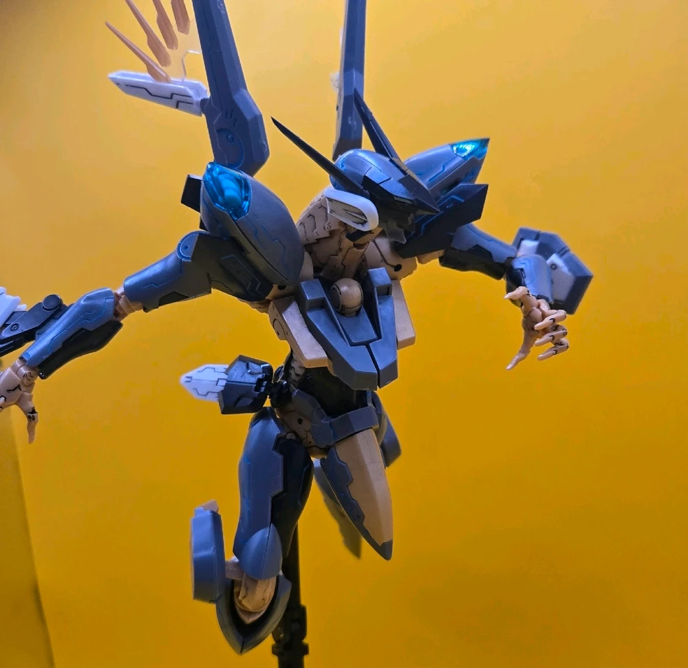 Image uploaded by Henry