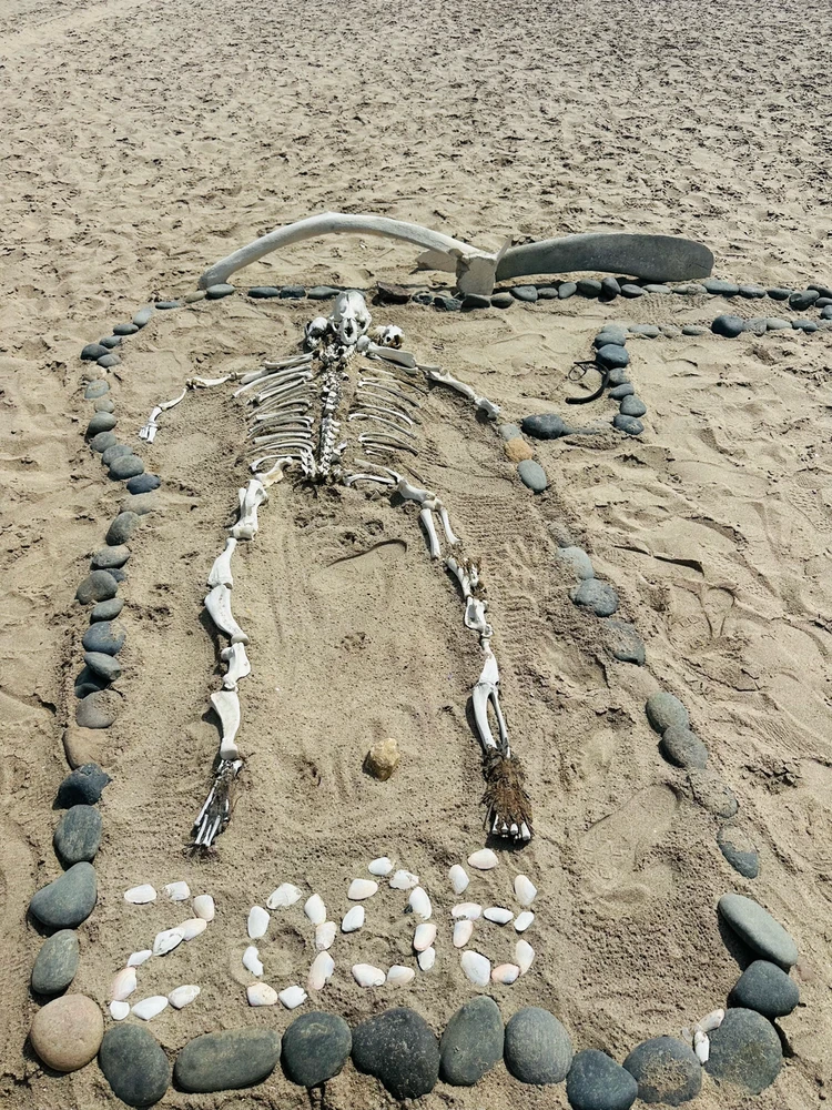 GIF hochgeladen von Treq