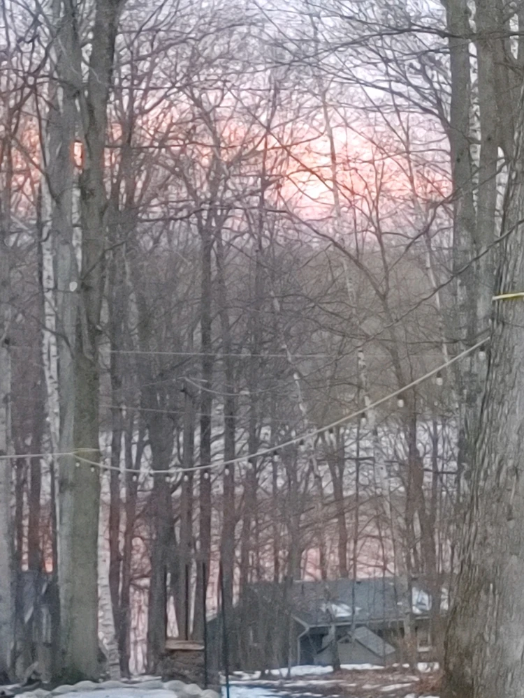 GIF uploaded by Super