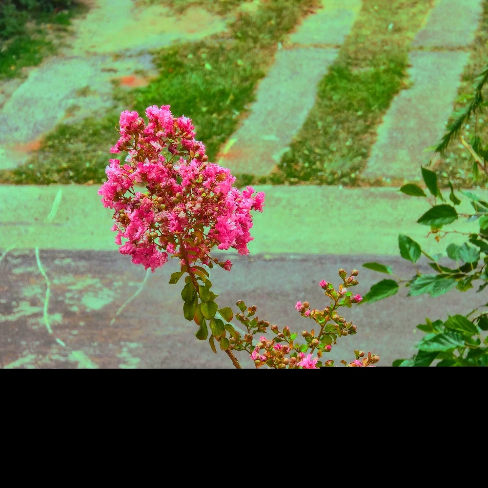 GIF enviado por Jonny