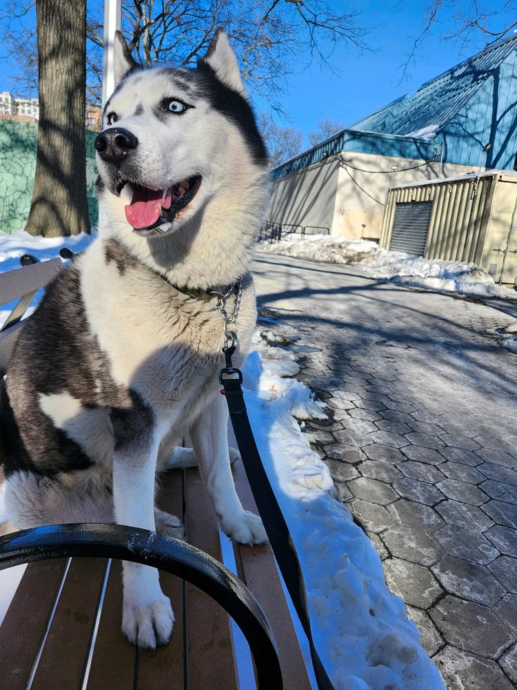 GIF uploaded by Oscar