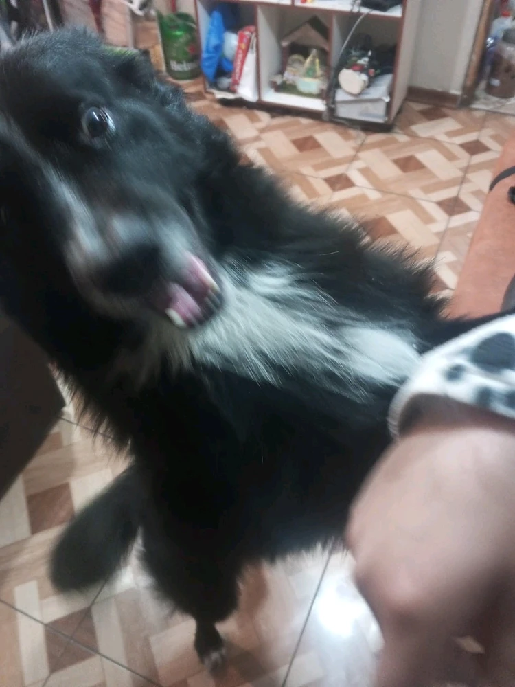 Imagen subida por Alejandra