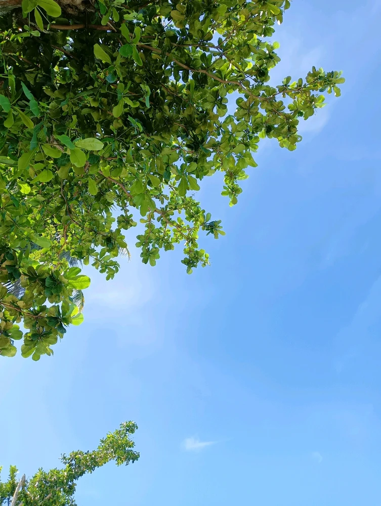 Image uploaded by Sarah