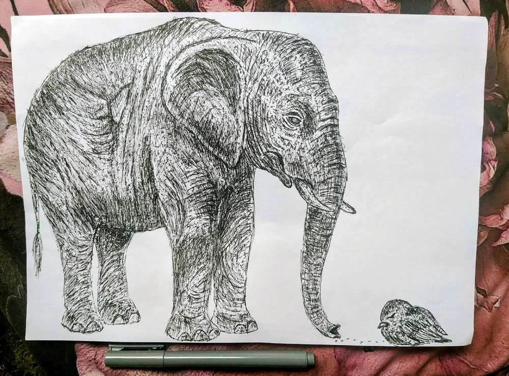 GIF uploaded by Mika