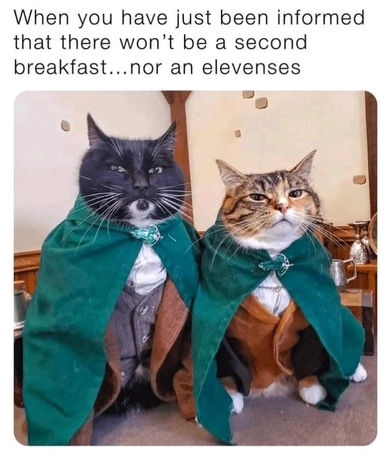 GIF uploaded by Waynez