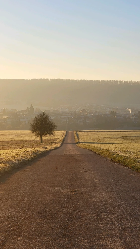 Bild hochgeladen von Jakob