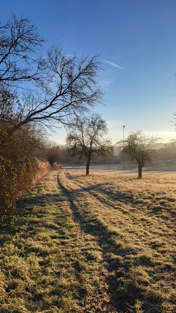 Bild hochgeladen von Jakob