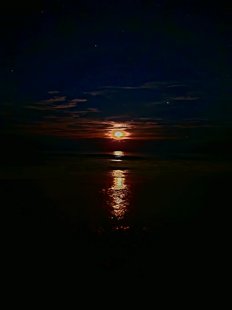 GIF uploaded by Jarik