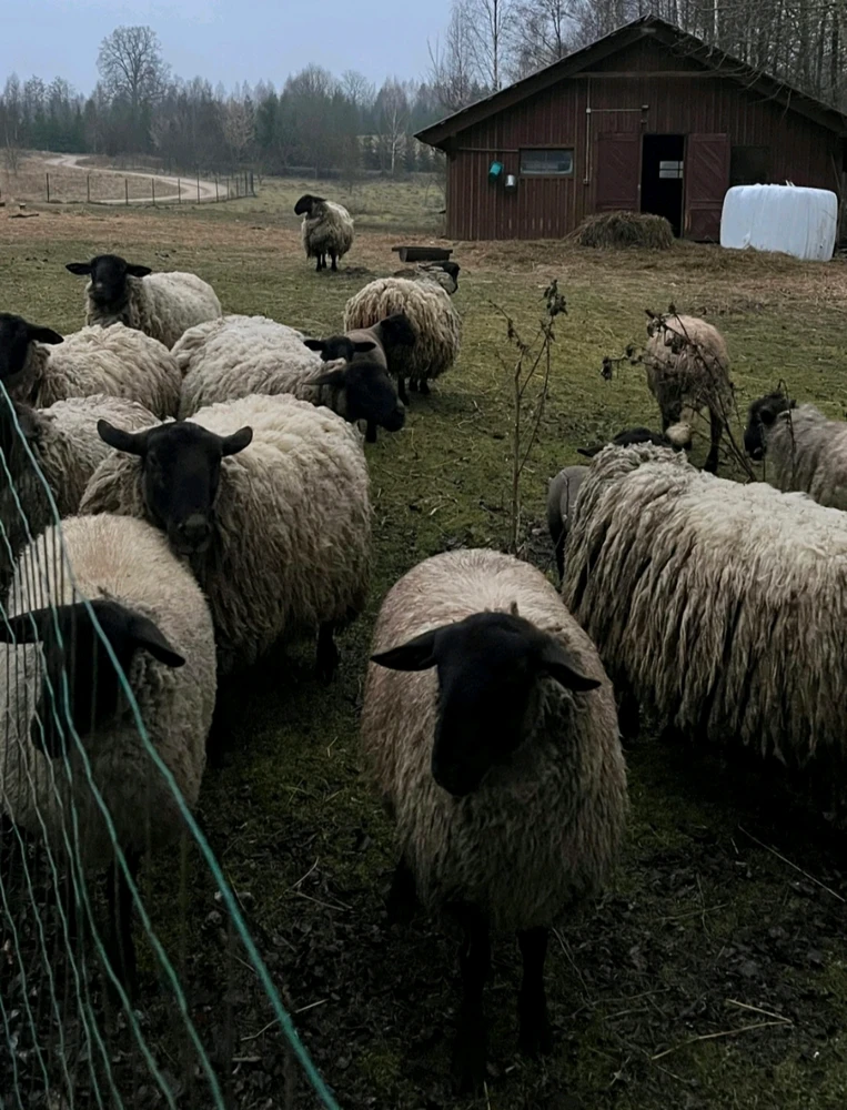 GIF uploaded by Edmas