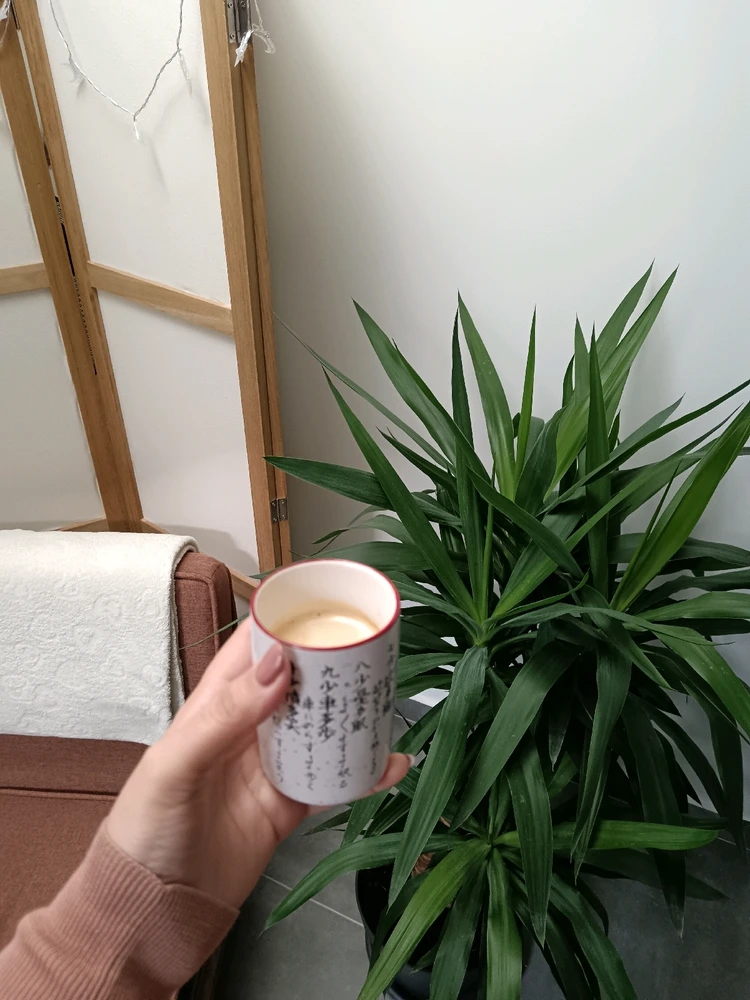 Image ajoutée par Saffiya