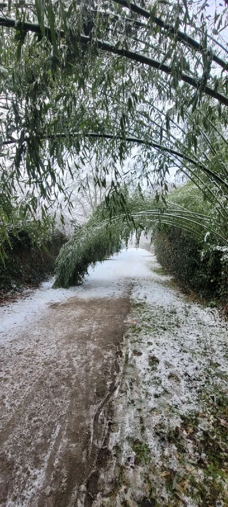 Bild hochgeladen von Patrick