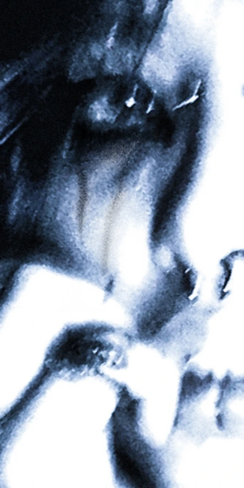 GIF subido por Zuri X