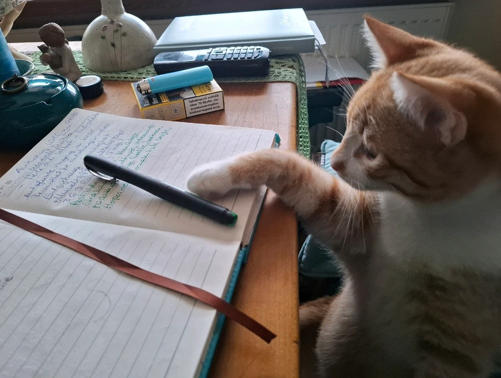 GIF hochgeladen von Svenja âïž