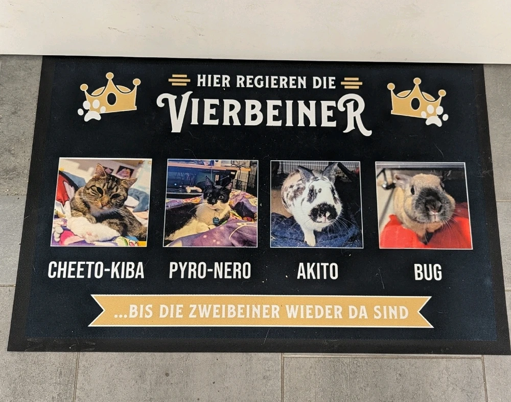 GIF hochgeladen von Colin