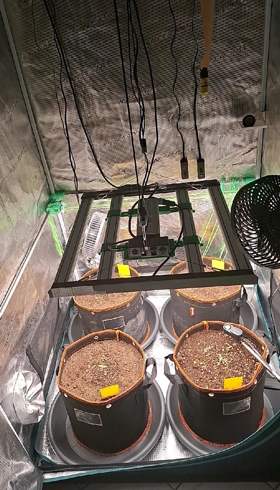 GIF hochgeladen von Oliver