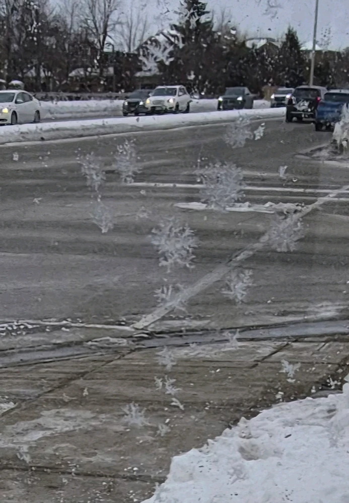 Imagen subida por Beks Stark