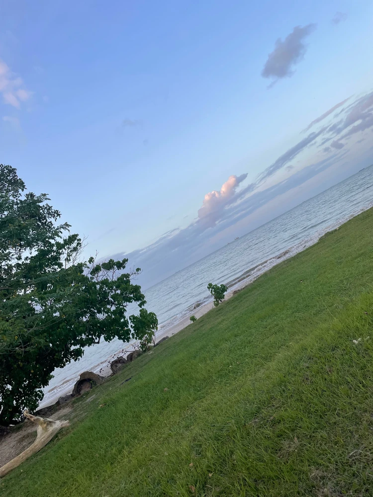 GIF uploaded by Maurice