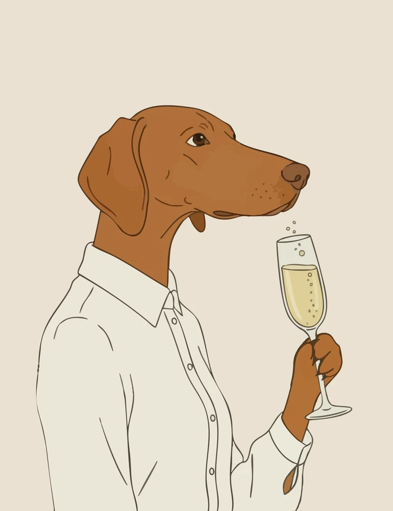 Bild hochgeladen von Claudio