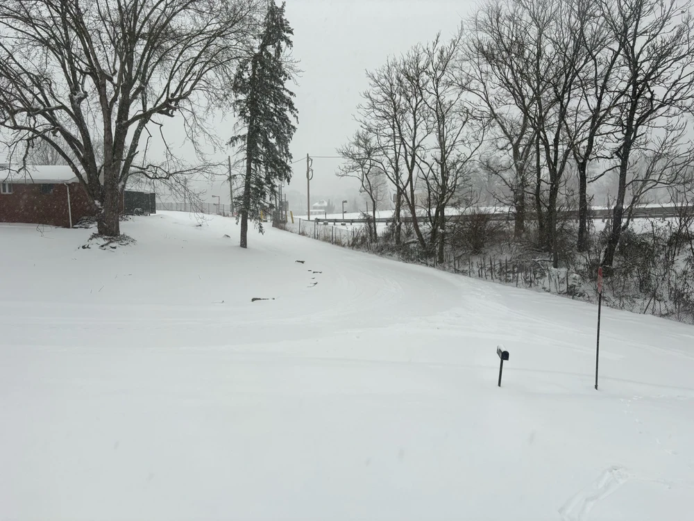 Image uploaded by Jacob