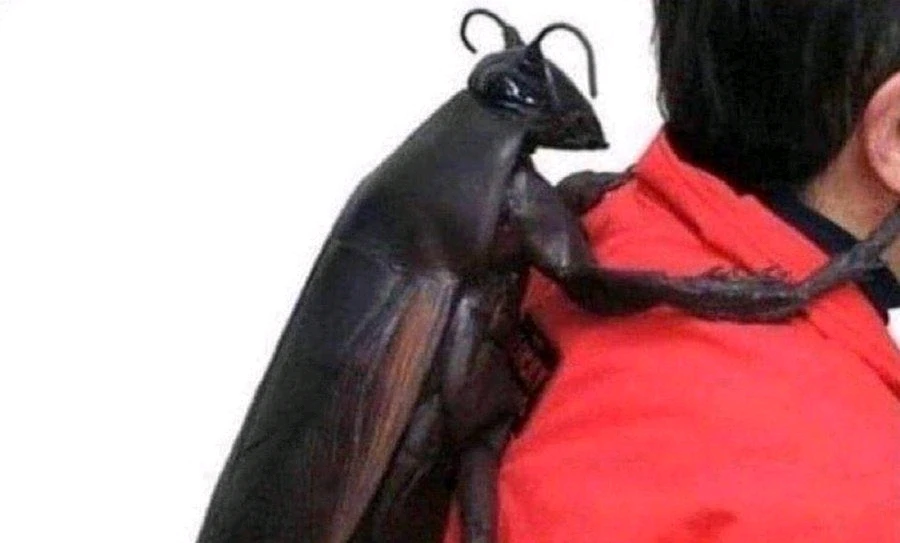 GIF uploaded by Marina