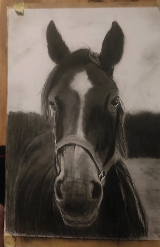 GIF dodany przez Krzysiek