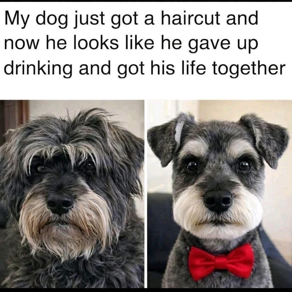 GIF uploaded by Melanie