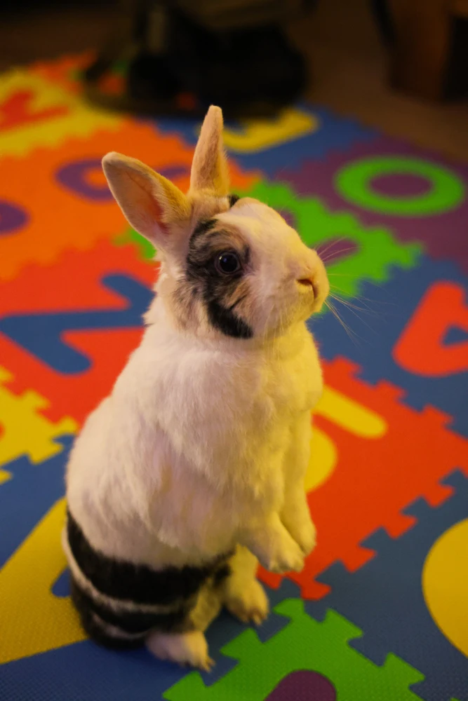 Afbeelding geüpload door Sven