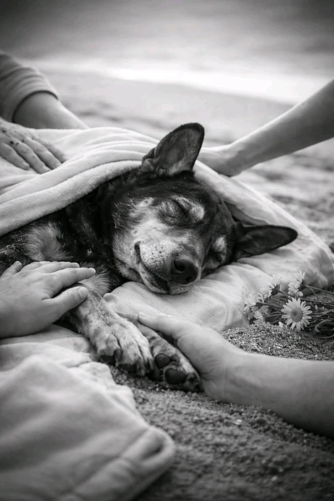 GIF enviado por Milla Costa