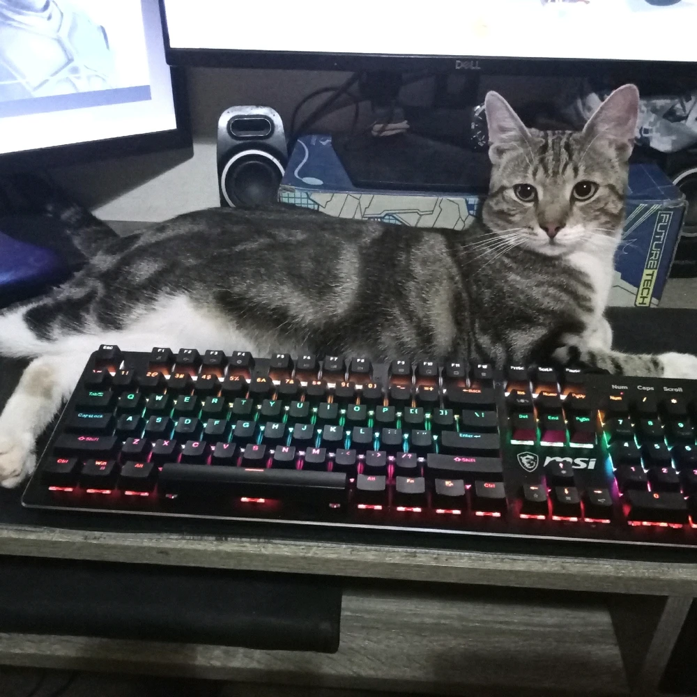 GIF diunggah dening Calvin