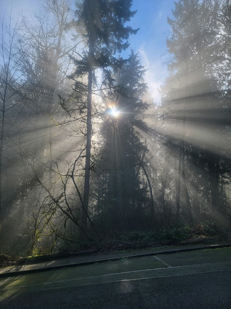 GIF uploaded by Danny