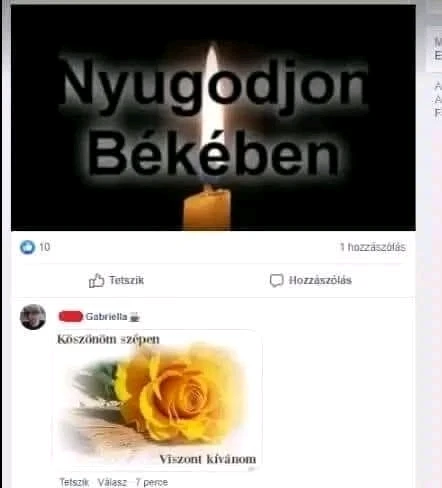 Gábor által feltöltött GIF