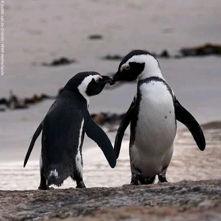 GIF dodany przez Rafał