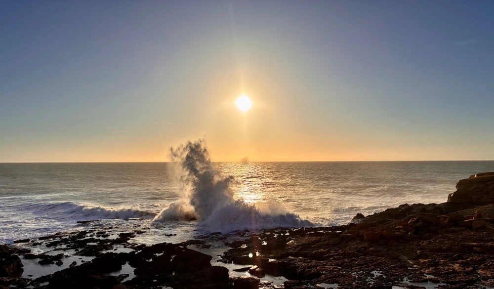 GIF hochgeladen von Tom